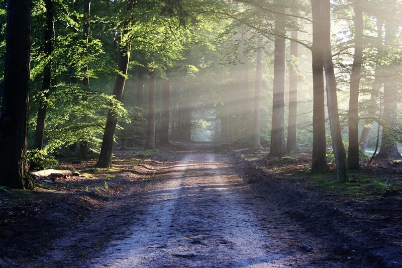 Off-the-Beaten-Path Trails
